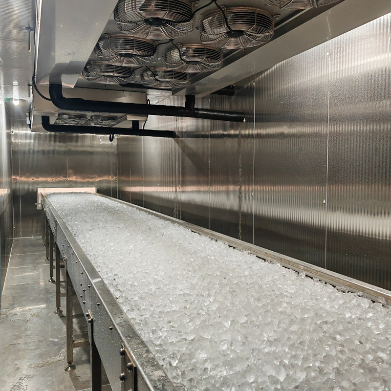 Koller Ice Machine Manufacturer - Blast Freezer 3