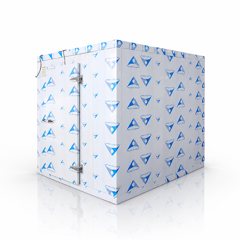 Koller Ice Machine Manufacturer - Walk in Cold Room 1