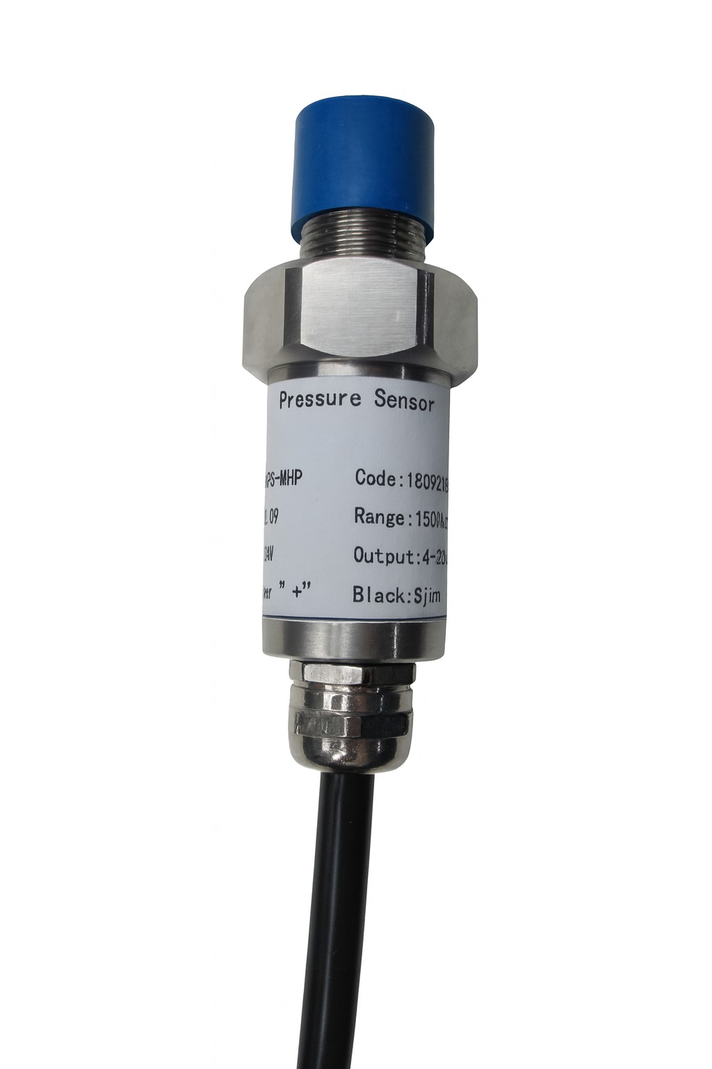 High-Pressure Sensor for Drilling & Pipelines | Up to 30,000 psi | CNPS 1