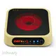 Modern Electric Infrared Cooker Company 1