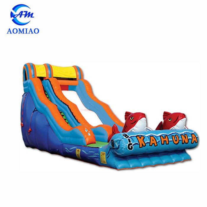 Garden Inflatable Water Slide - SL1721 1
