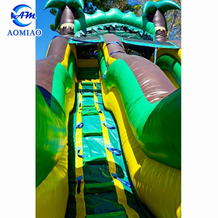 Small Inflatable Water Slide - Anemone Fish SL1760 4