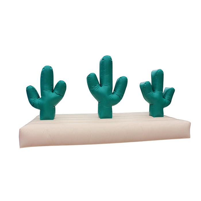 3mL x 1.5mW Inflatable Cactus Hoopla Game 1