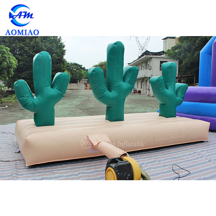 3mL x 1.5mW Inflatable Cactus Hoopla Game 2
