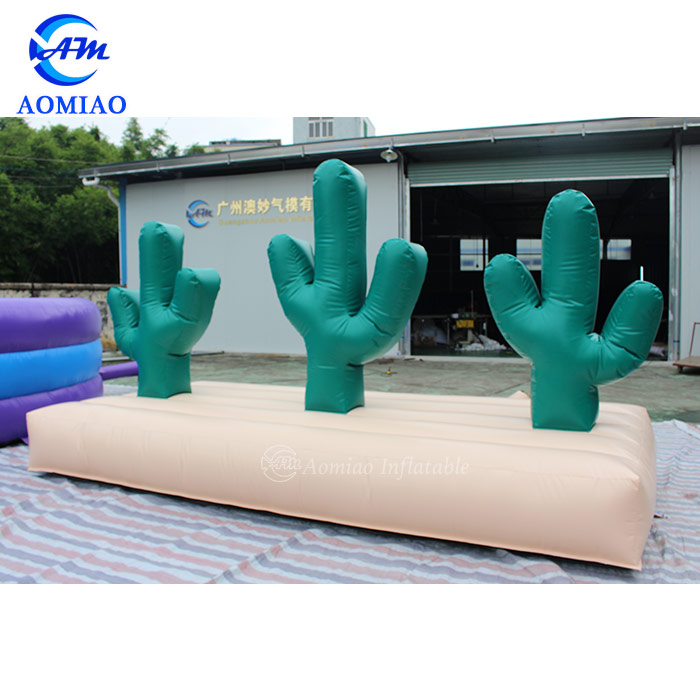 3mL x 1.5mW Inflatable Cactus Hoopla Game 5