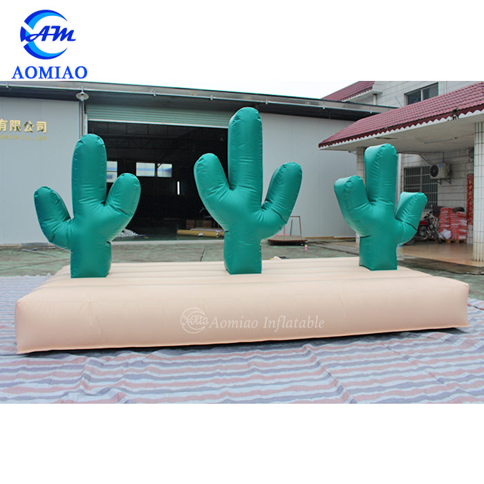 3mL x 1.5mW Inflatable Cactus Hoopla Game 4