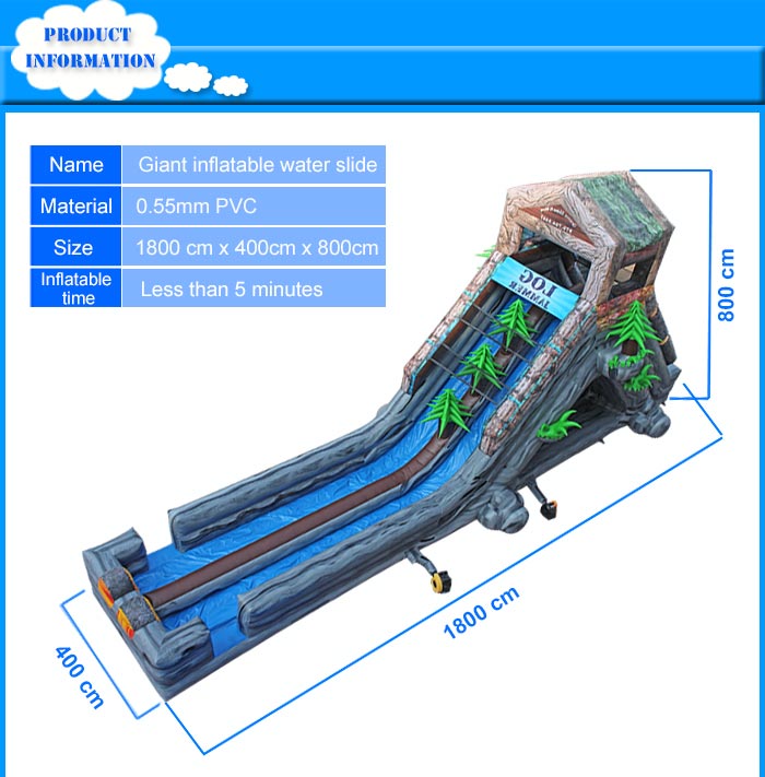 backyard tom inflatable slide lane AOMIAO Brand 2
