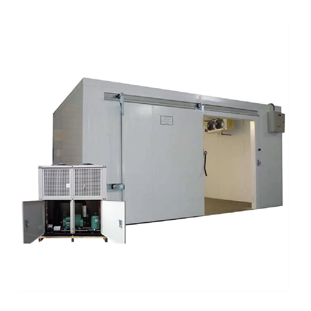 Deep Freezer Room Cold Storage with Ultra Low Temperature Control 5