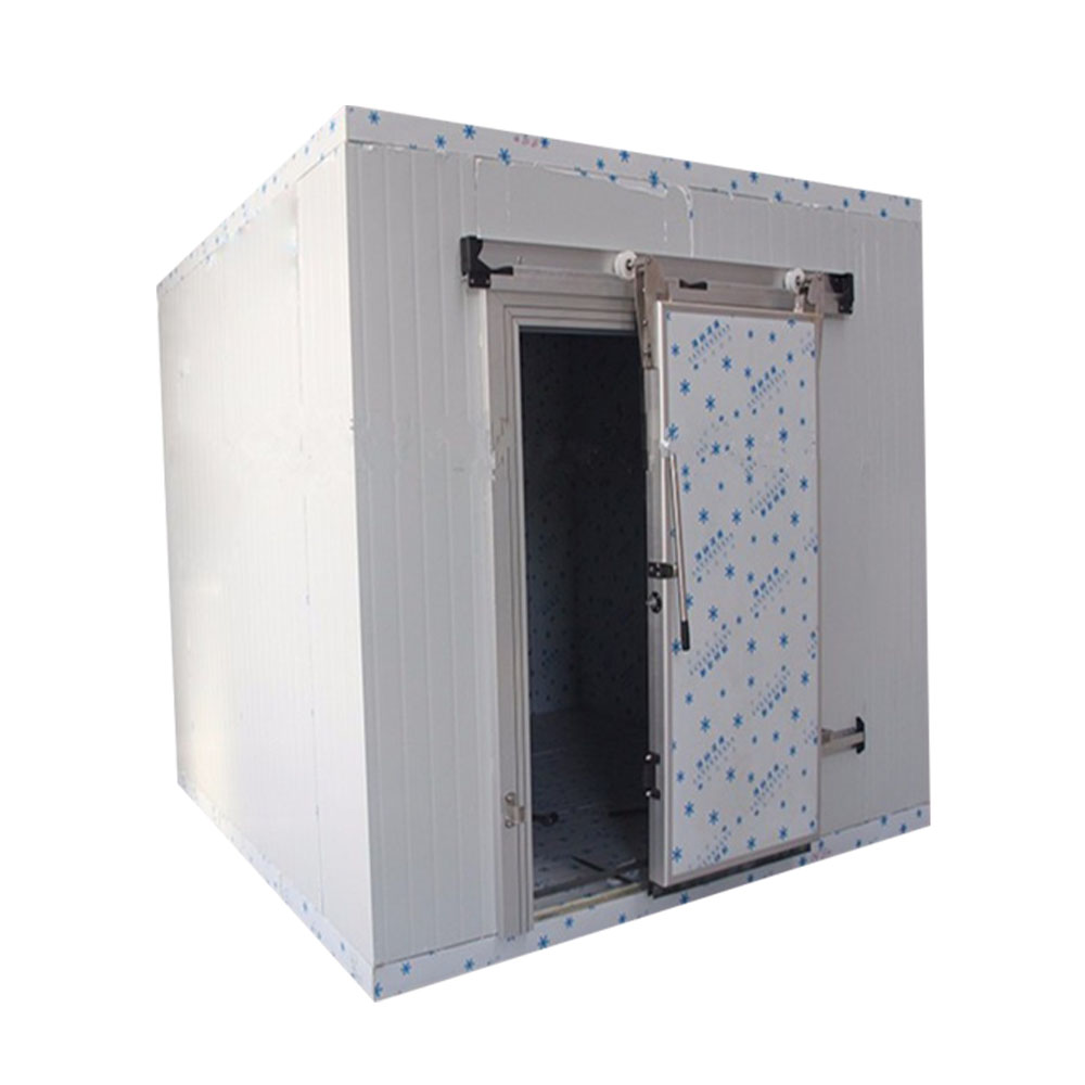 Deep Freezer Room Cold Storage with Ultra Low Temperature Control 4