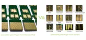 Rocket PCB optional gold column finger for import 6