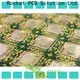 hot-sale wire bonding services bonding surface finished for digital device 1