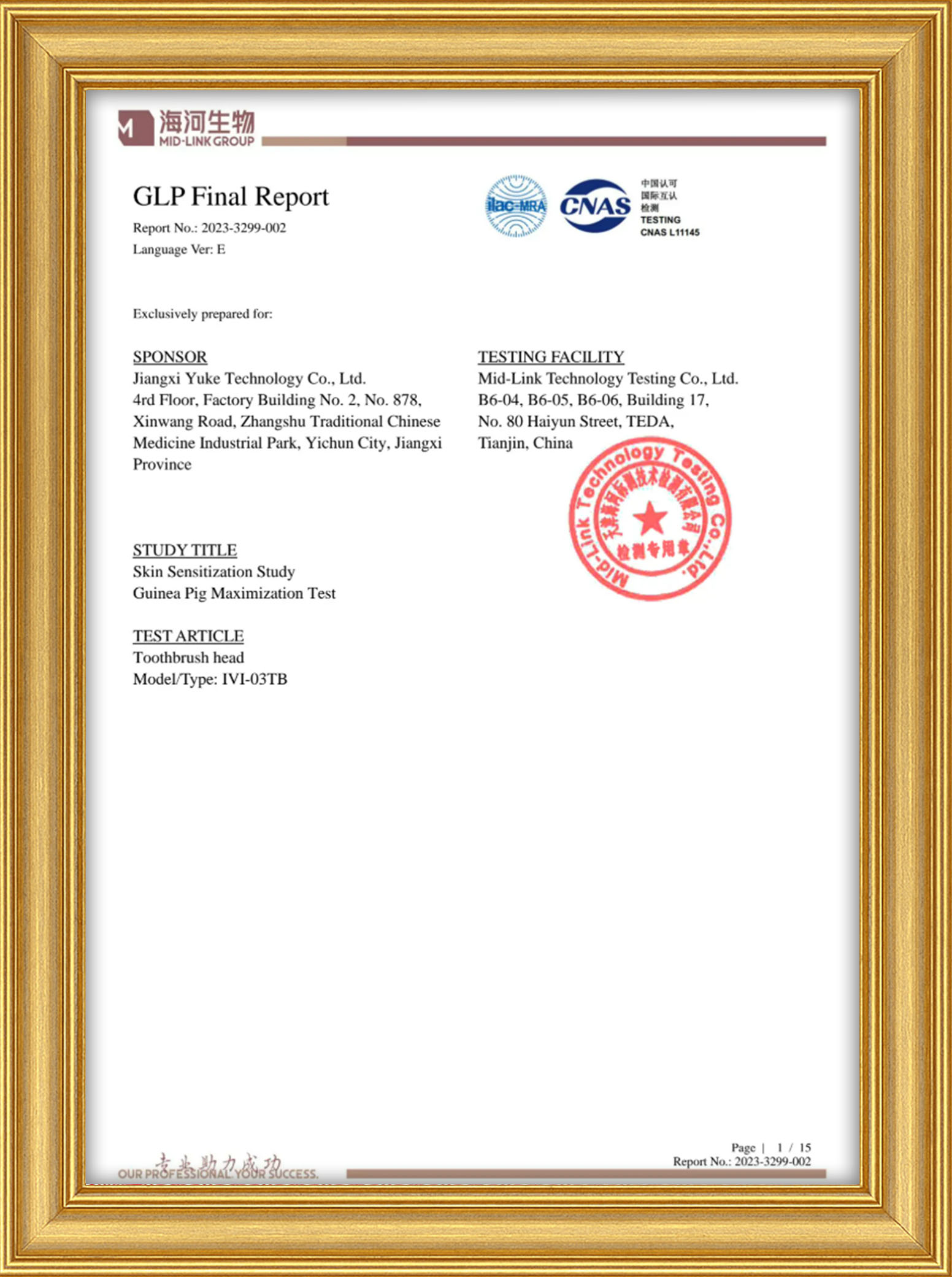 Brush Head Test Report