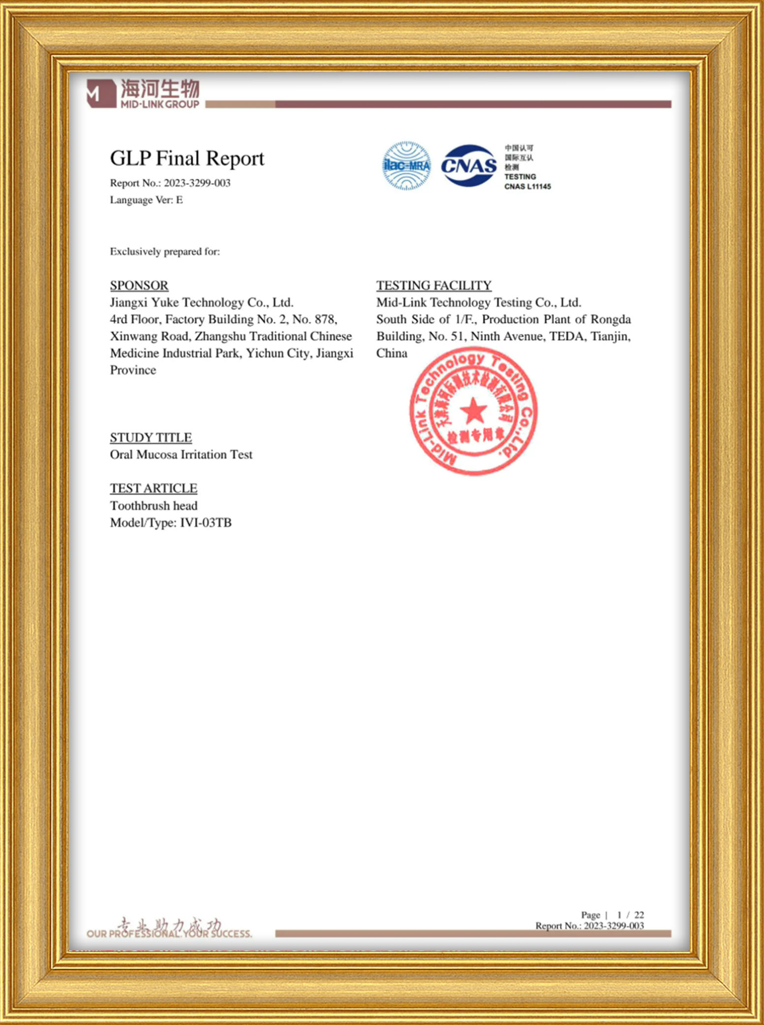 Brush Head Test Report