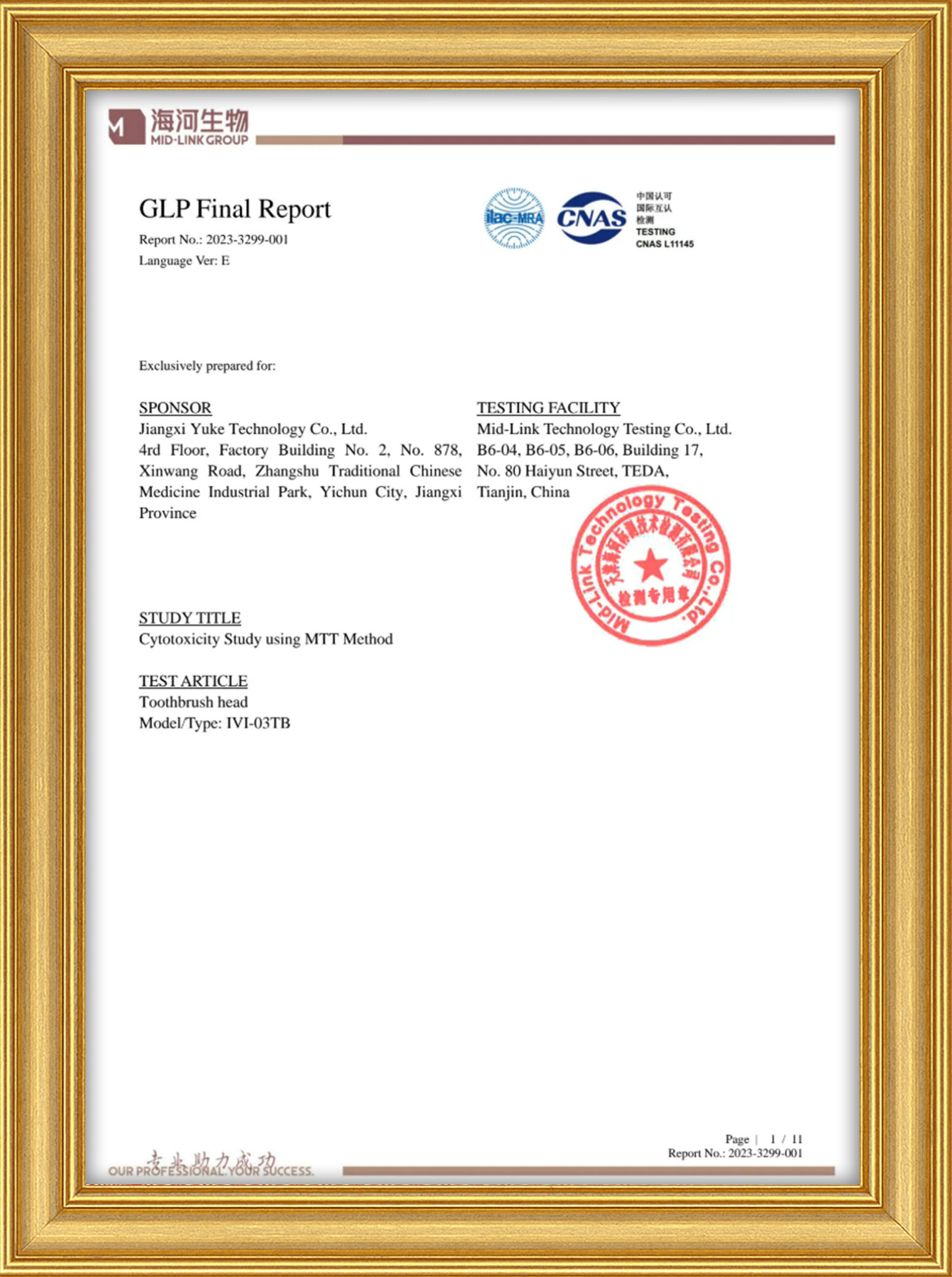 Brush Head Test Report