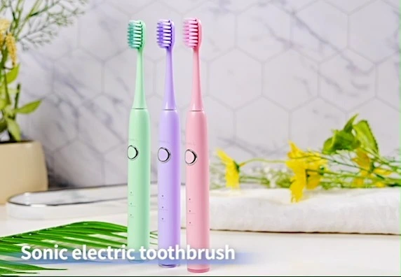 Wholesale Rechargeable Portable Electric Toothbrush 1