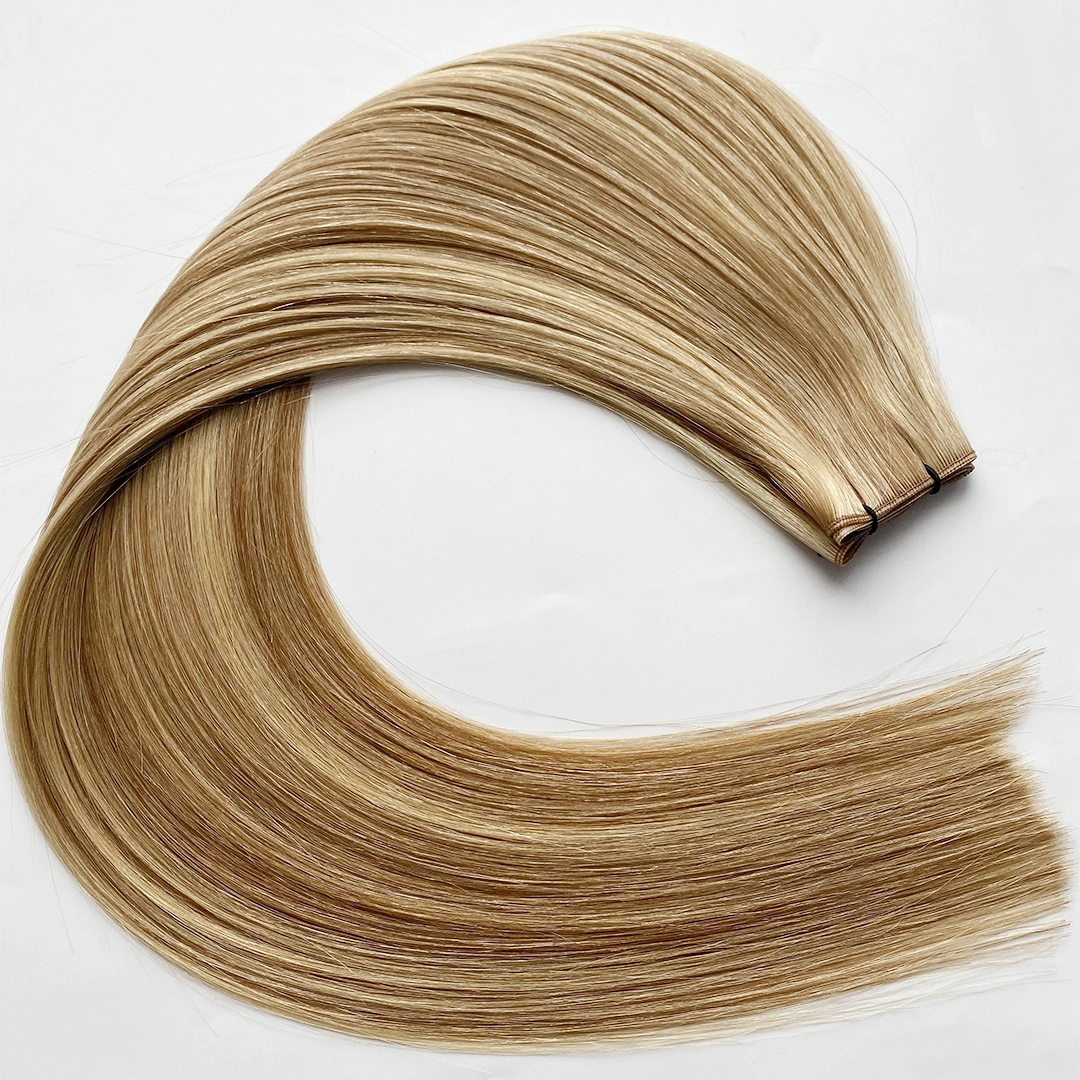 Genius Weft Straight 10/24 Color Human Hair Extensions  | HaiYi Hair 1