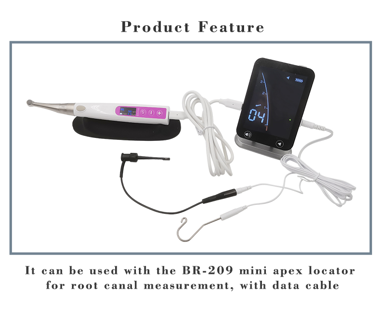 WISEDENT- EN-link 1:1 endomotor which can connect to  Apex locator to use together 6