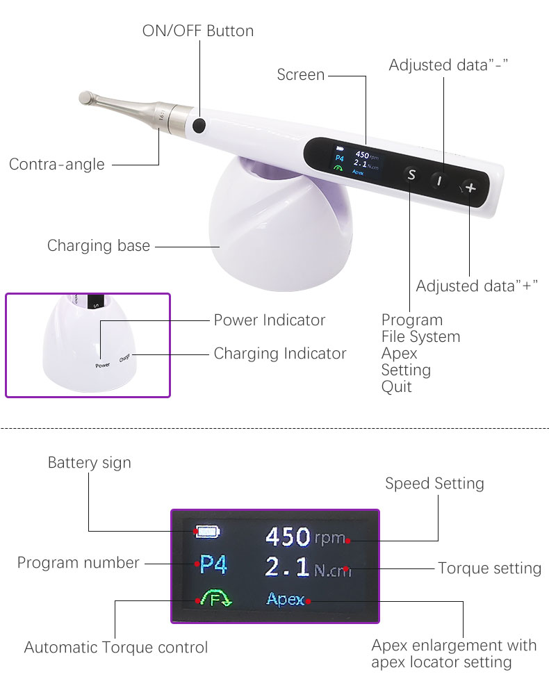 WISEDENT - Dental Equipment Endo Motor With Apex Lovator Built-in Endomotor 9 Program China Factory Price BR-212 9