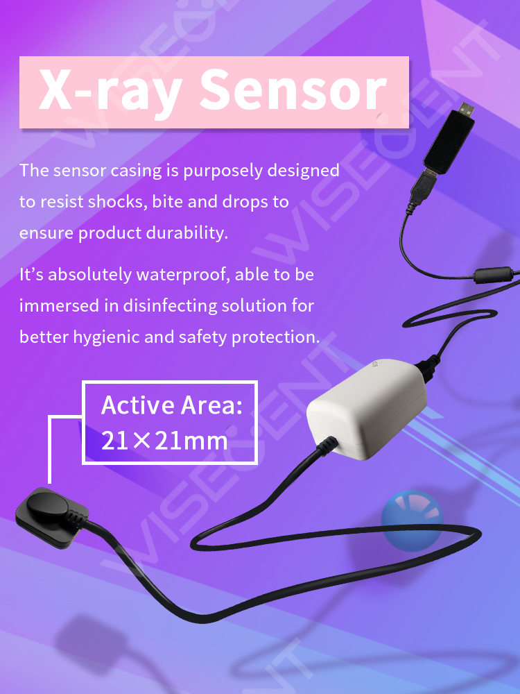 BR-813 Dental X-Ray Sensor | Guangdong, China 7