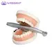 High Speed Dental Handpiece - Top Quality Guarantee 6