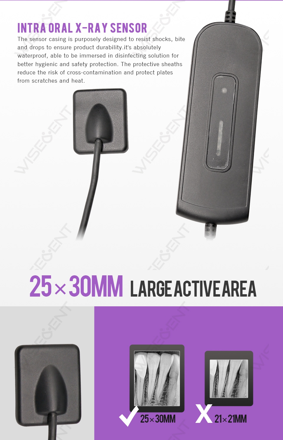 Portable Intraoral X-ray Sensor: Latest Technology Dental Tool 6