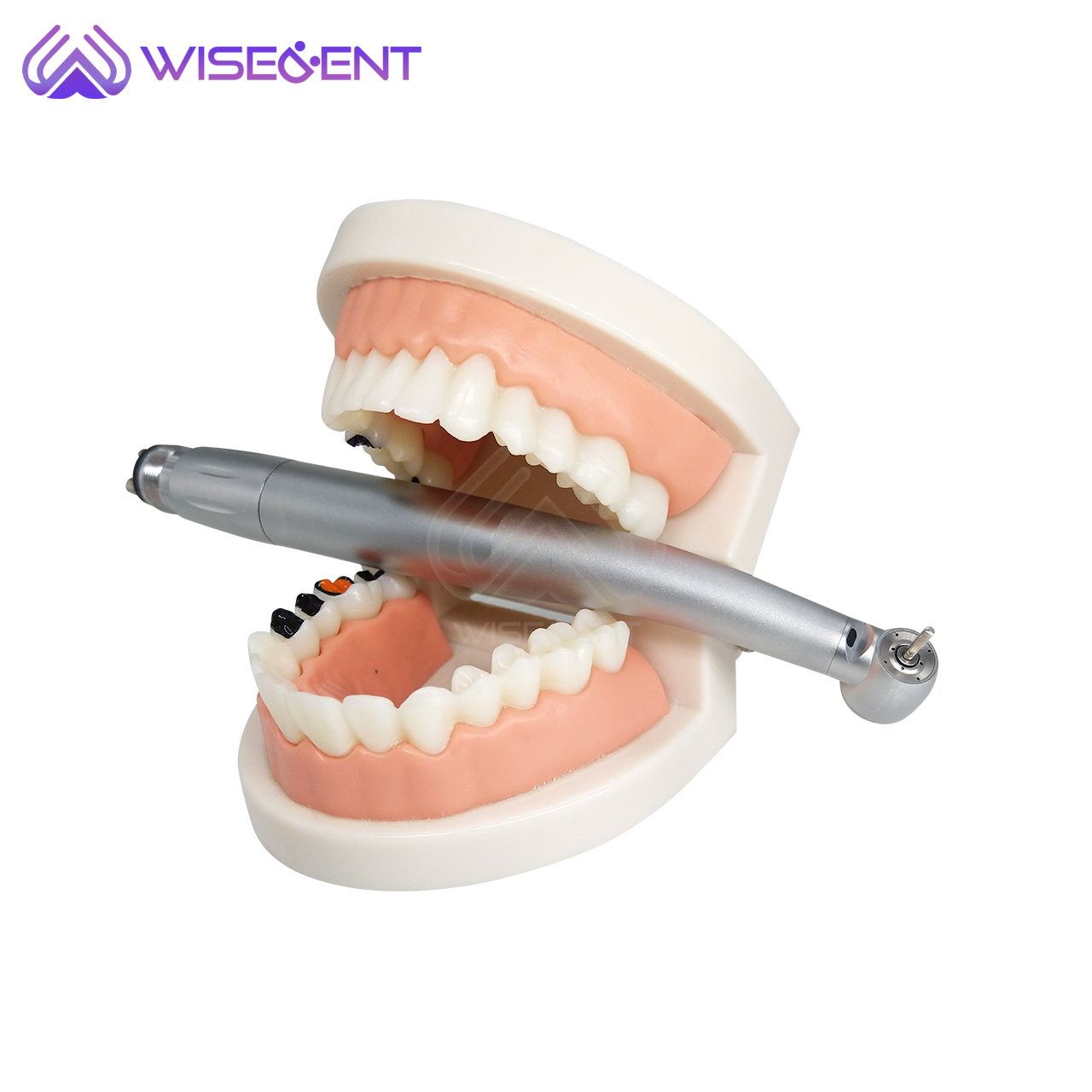 WISEDENT - Good quality! Foshan Dental High speed Fiber Optic handpiece with Quick Coupler High speed handpiece 16