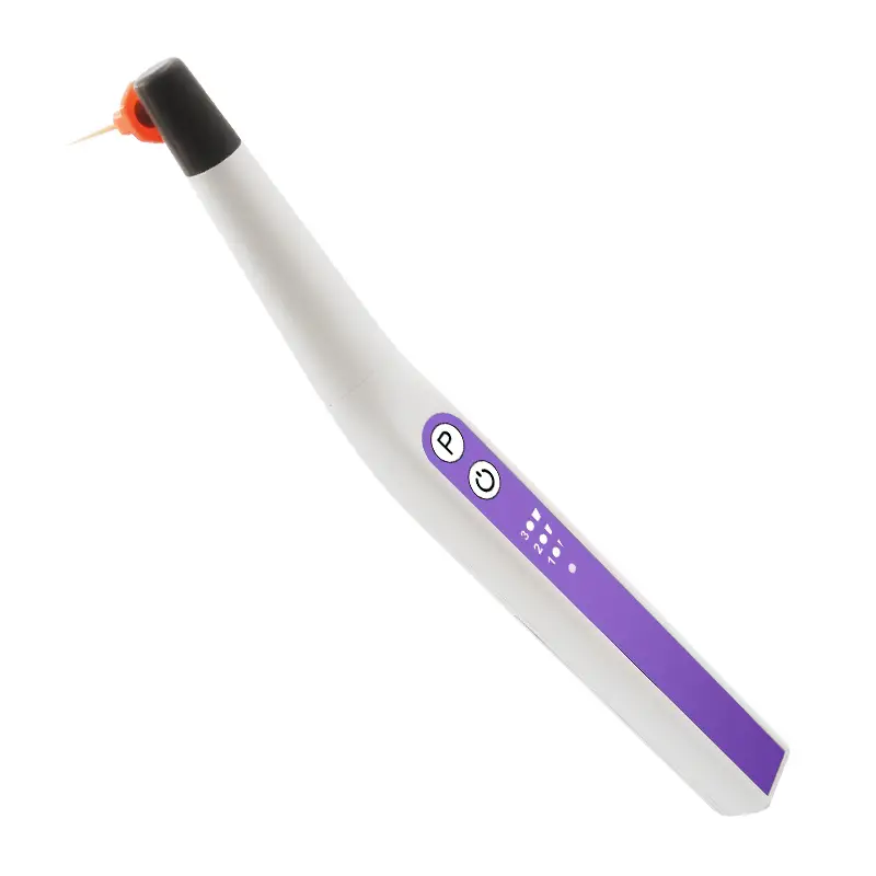 WISEDENT - Dental Equipment Manufacturer Dental Endo Ultrasonic Scaler Plastic 60pcs Free Tips for Sale BR-207N 1