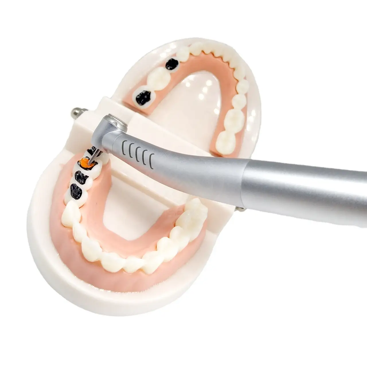 WISEDENT - High quality! Fiber Optic Dental Handpiece LED 2/4 holes High speed handpiece BR-162K 1