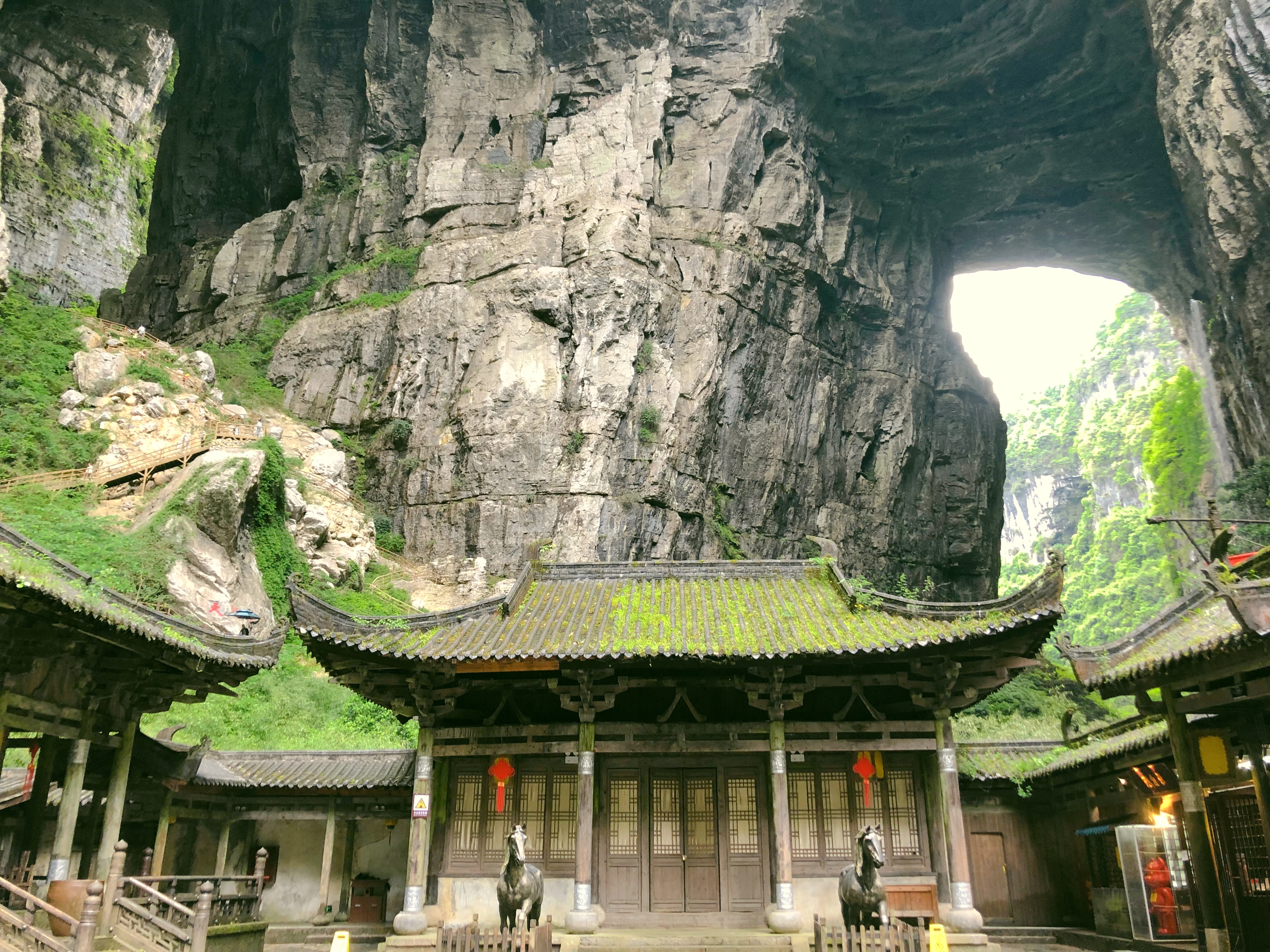 Autumn is thick, team love - the company's Chongqing autumn tour group building wonderful moments- WISEDENT 1