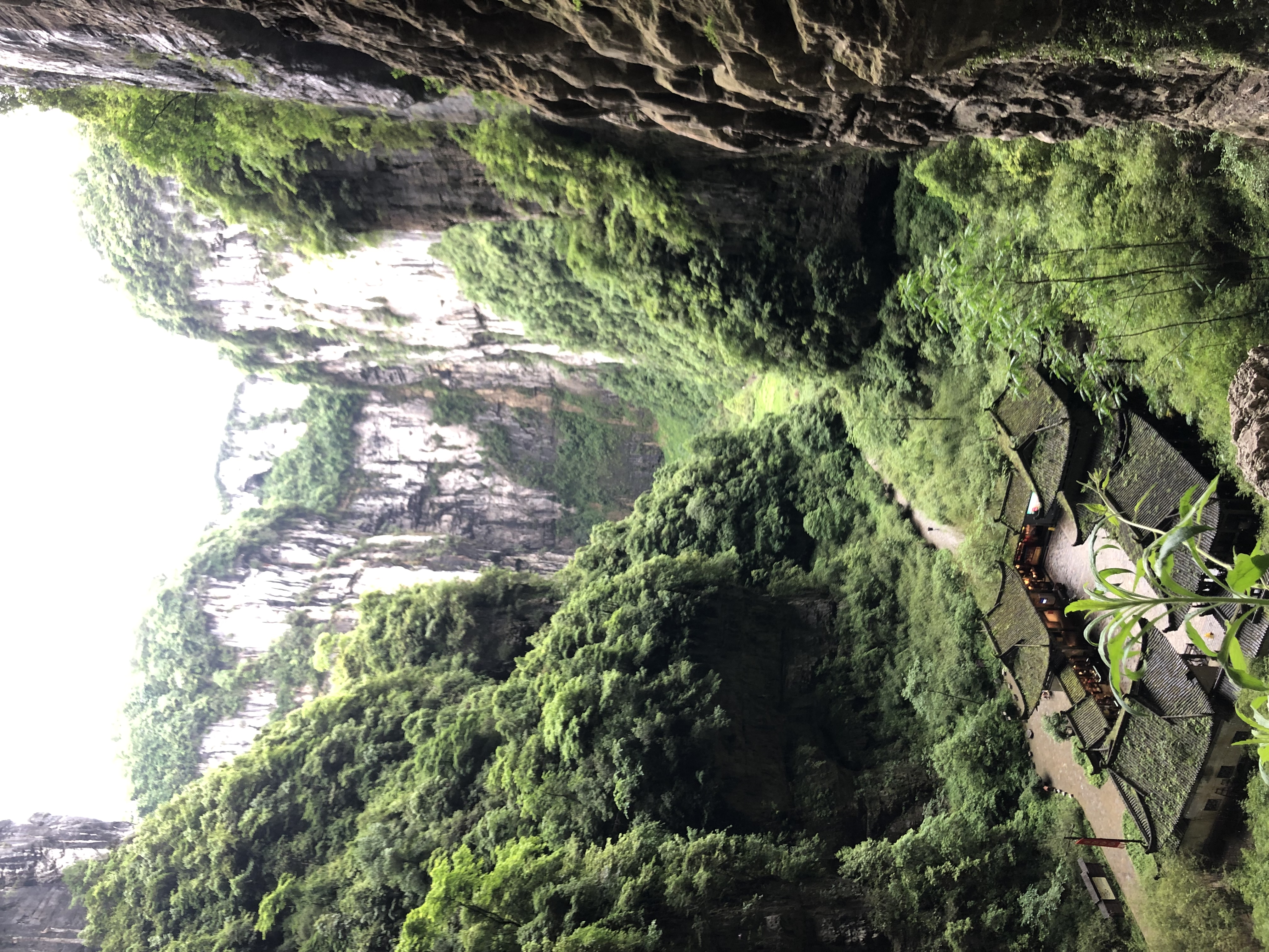 Autumn is thick, team love - the company's Chongqing autumn tour group building wonderful moments- WISEDENT 3