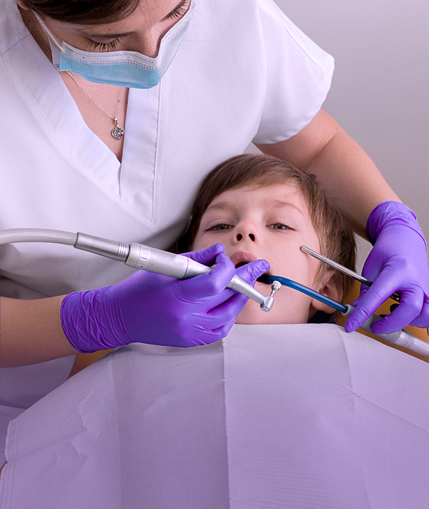 Wisedent High Speed Dental Drill