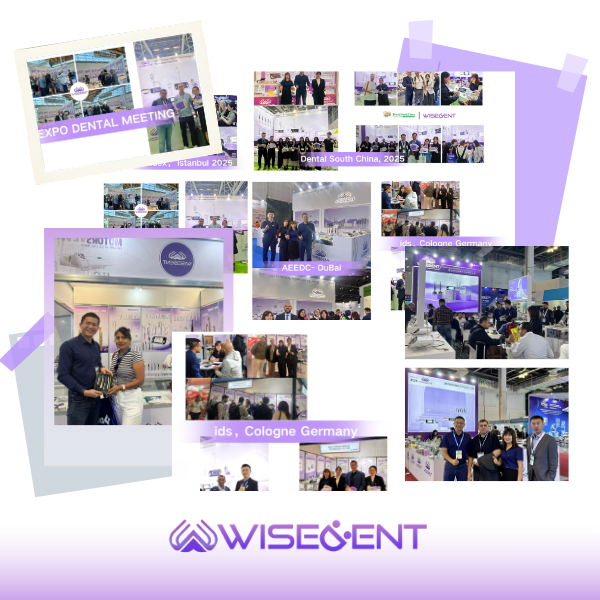 WISEDENT - Dental Equipment Nickel Cadmium Battery Wireless Gutta Percha Cutter Up to 260 Obturation System BR-103 17