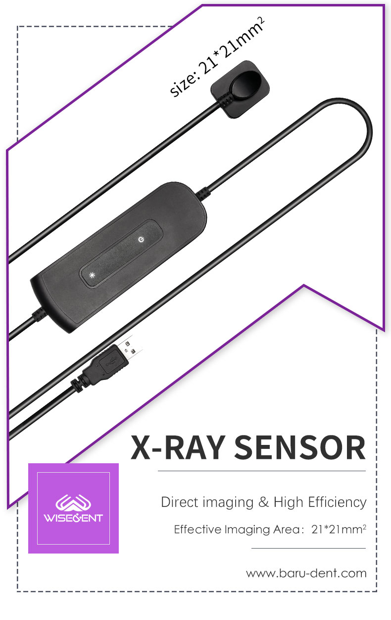 Wisedent Waterproof Dental Intraoral X Ray Sensor USB Digital Imaging Sensor 26.5*32mm for Dental Wholesale Price 12