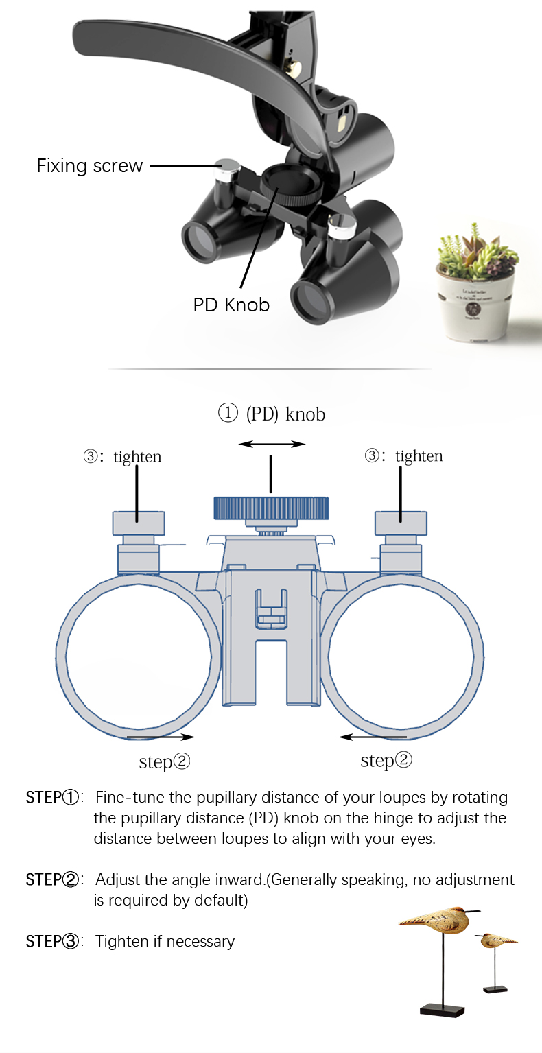 Wisedent Dental LED Headlight Binocular Loupes 2.5X 3.5X Optional Magnification Dual Rechargeable Batteries 15