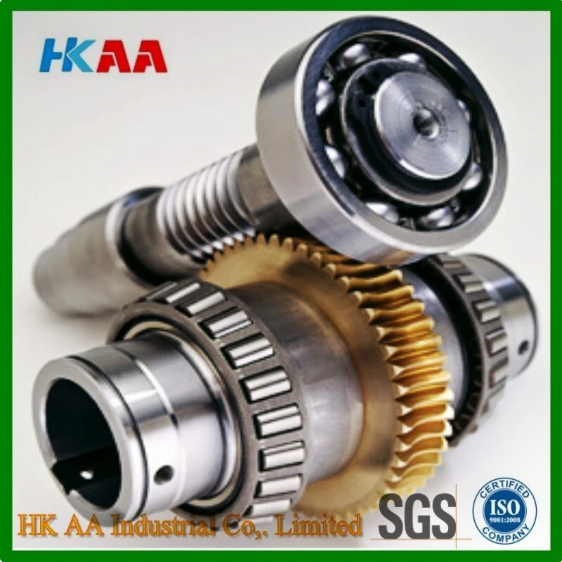 Worm Gear Reducer 1