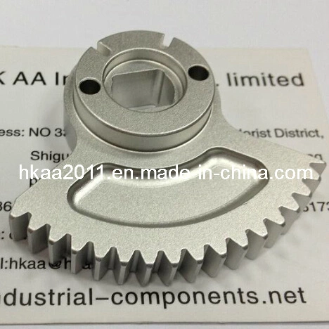 Precision Custom Machining Small Stainles Steel/Aluminum Sector Gear 1