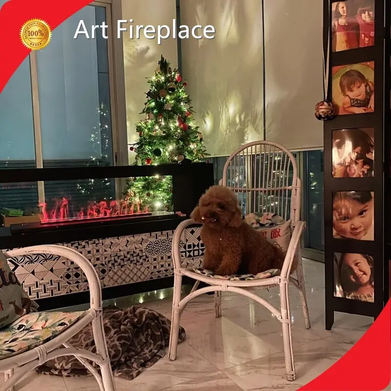 Art Fireplace Ethanol Fireplace-1 1