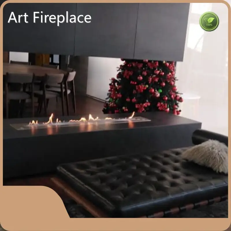 Bio Fuel Fireplace Art Fireplace Company 1