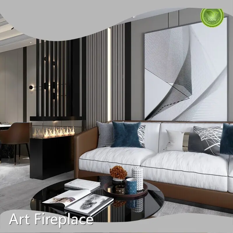 Custom Indoor Bioethanol Fireplace Art Fireplace 1