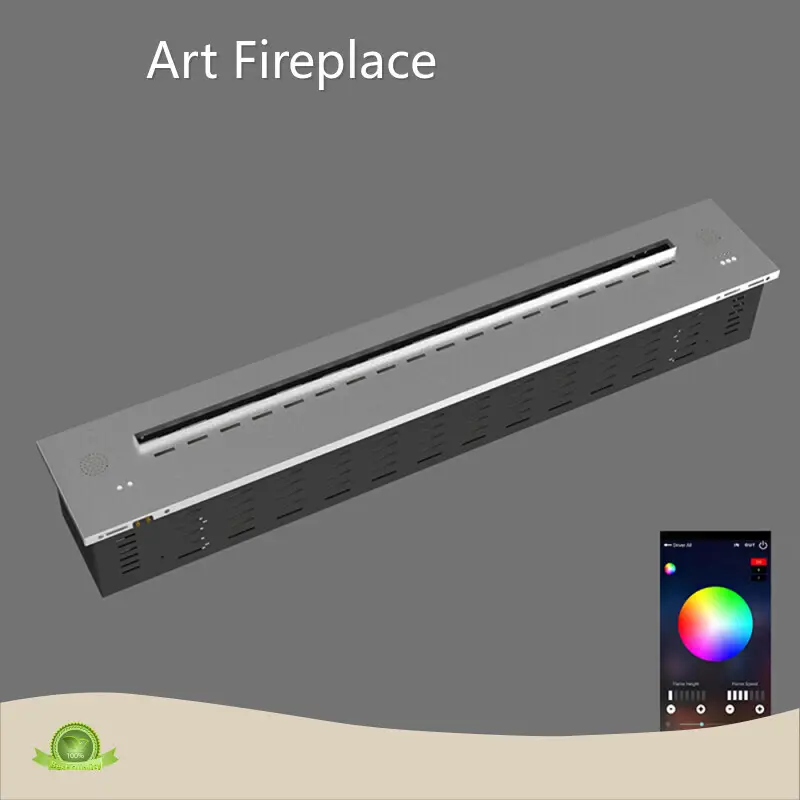 Vapor Fireplace Insert by Art Fireplace-2 1