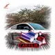 Brand Silver Vinyl Roll Factory 8