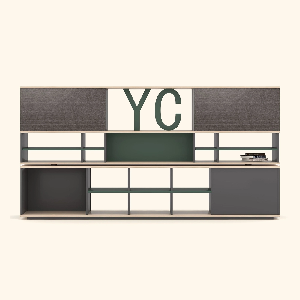 고급 기능과 기능을 갖춘 우아한 찬장 캐비닛 LS911G - Yousen 1