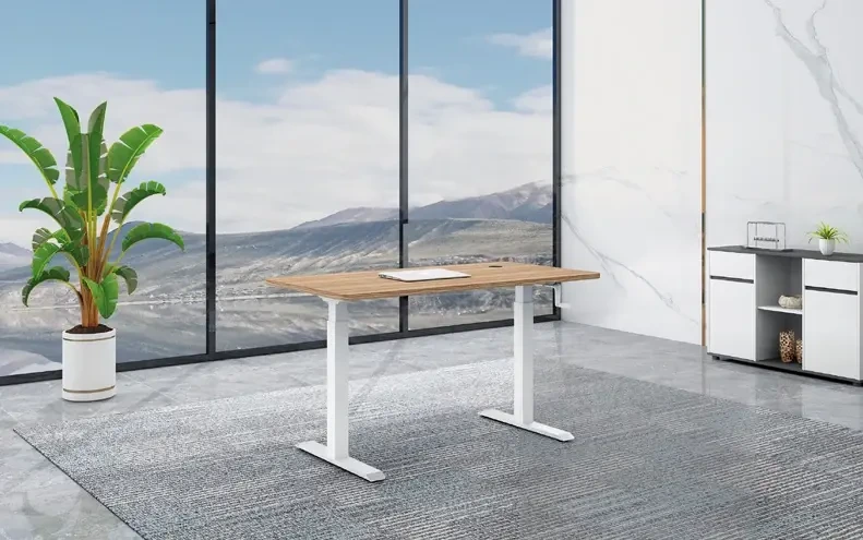 best manual standing desk