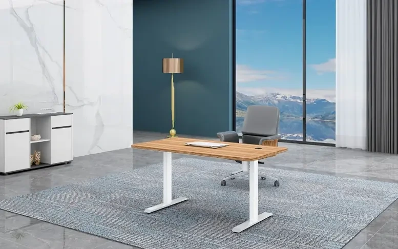 Производитель двухсекционного двухмоторного электрического стола с регулируемой высотой