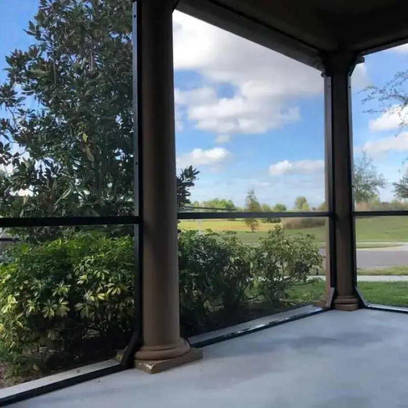 How To Get Rid Of Spiders On Pool Screen 1