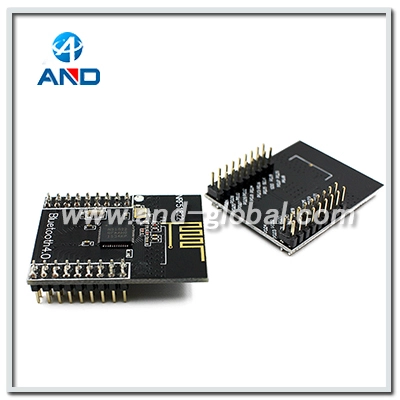 NRF51822 DIP 1