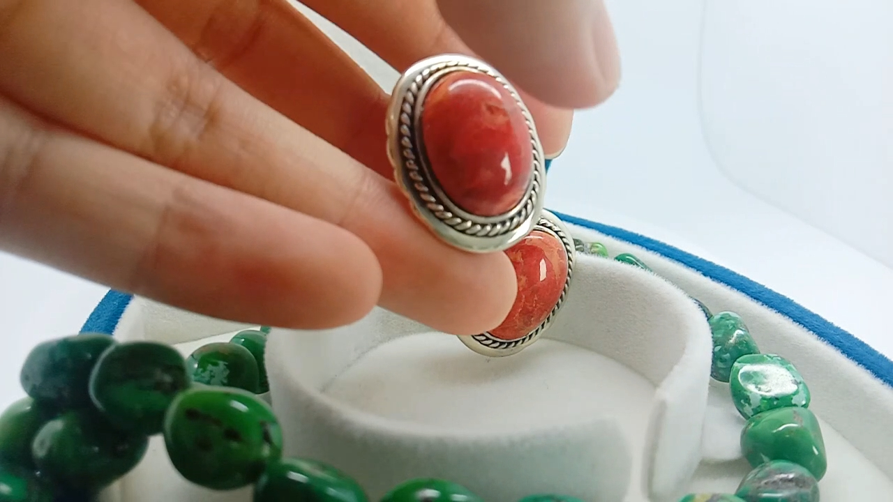 Гӯшвораҳои Spiny Oyster дастӣ дар ИМА қатраҳои Фирӯз 8