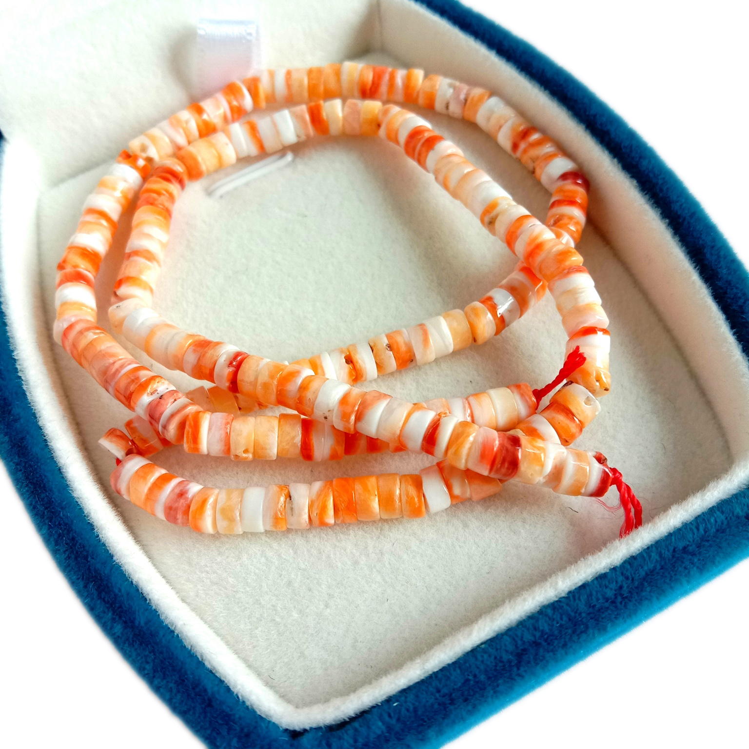 స్టాంప్డ్ స్టెర్లింగ్ సిల్వర్ పూసలతో పెద్ద గ్రాడ్యుయేటెడ్ రెడ్ స్పైనీ ఓస్టెర్ షెల్ నెక్లెస్ 14