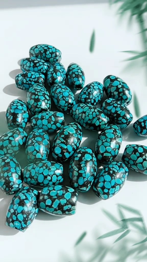 Fa'aanatura Aferika Turquoise Alaisa Lopa Turquoise Lopa Ma'a Ma'a Moni 12