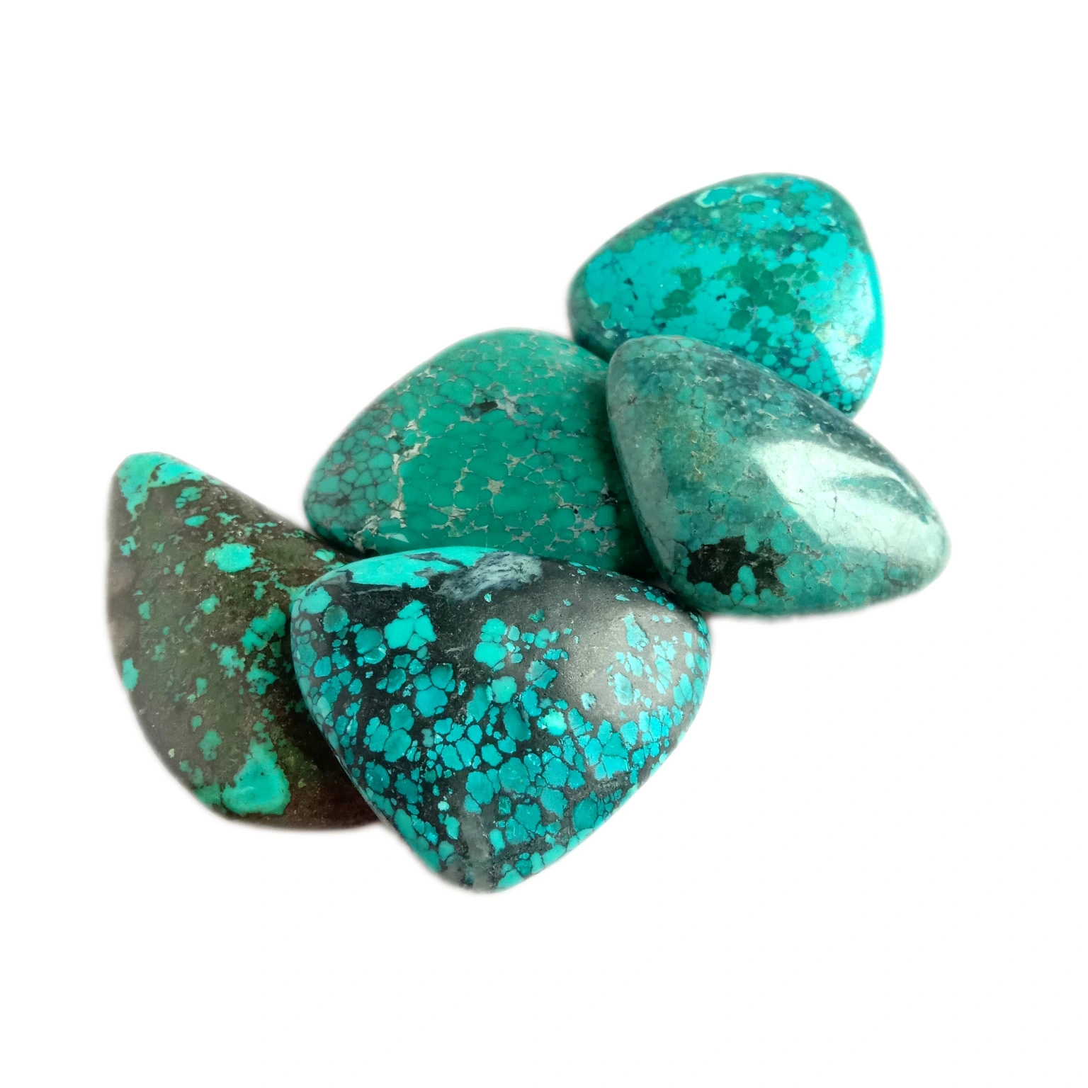 تەبىئىي قۇملۇق گۈللىرى variscite turquoise cabochon Nevada turquoise 1